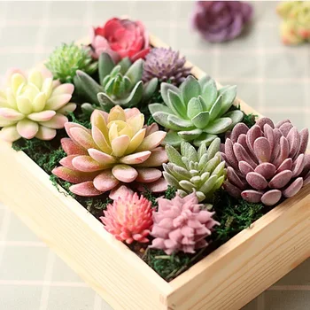 Northern European-Style Mini More Meat Plant Imitation Flowers Head Small Number Flower Arrangement Accessories Fake More Meat P
Northern European-Style Mini More Meat Plant Imitation Flowers Head Small Number Flower Arrangement Accessories Fake More Meat P