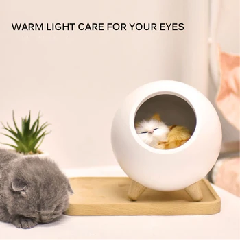 Portable Usb Light Led Cute Cat Ambient Light Night Light USB Charging Cartoon Touch Sensor Dimmable Children Mini Desk Lamp
Portable Usb Light Led Cute Cat Ambient Light Night Light USB Charging Cartoon Touch Sensor Dimmable Children Mini Desk Lamp
