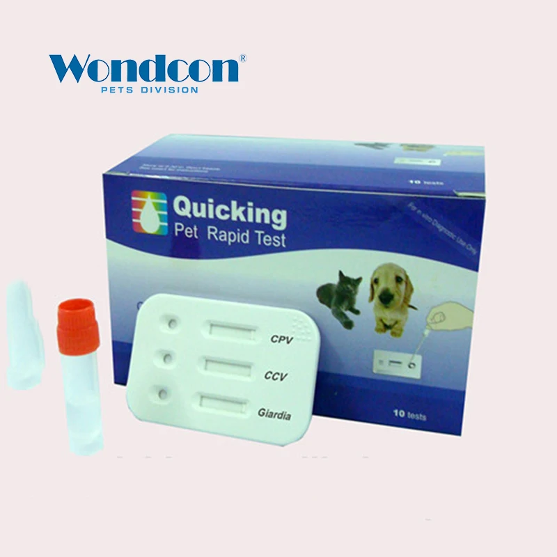 Veterinary Canine CPV + CCV + Giardia Ag Triple Rapid Test Canine Parvovirus + Canine Coronavirus + Giardia Antigen Triple Test
Veterinary Canine CPV + CCV + Giardia Ag Triple Rapid Test Canine Parvovirus + Canine Coronavirus + Giardia Antigen Triple Test