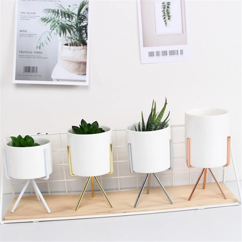 1Pc Creative Art Retro Iron Line Flower Ceramics Vase Decoration Metal Plant Holder Modern Style Iron Vase Home Garden Ornament
1Pc Creative Art Retro Iron Line Flower Ceramics Vase Decoration Metal Plant Holder Modern Style Iron Vase Home Garden Ornament