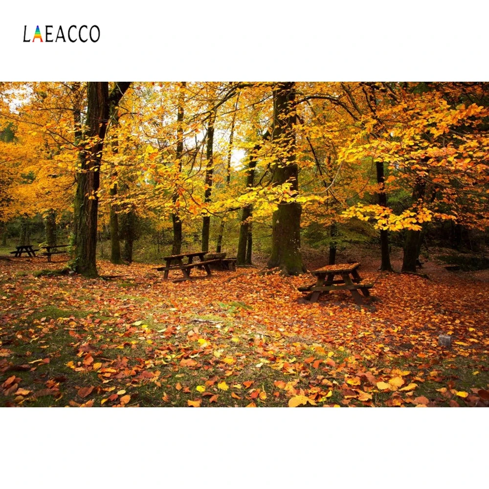 Laeacco Autumn Fallen Leaves Trees Bench Landscape Photography Backgrounds Vinyl Custom Photographic Backdrops For Photo Studio
Laeacco Autumn Fallen Leaves Trees Bench Landscape Photography Backgrounds Vinyl Custom Photographic Backdrops For Photo Studio