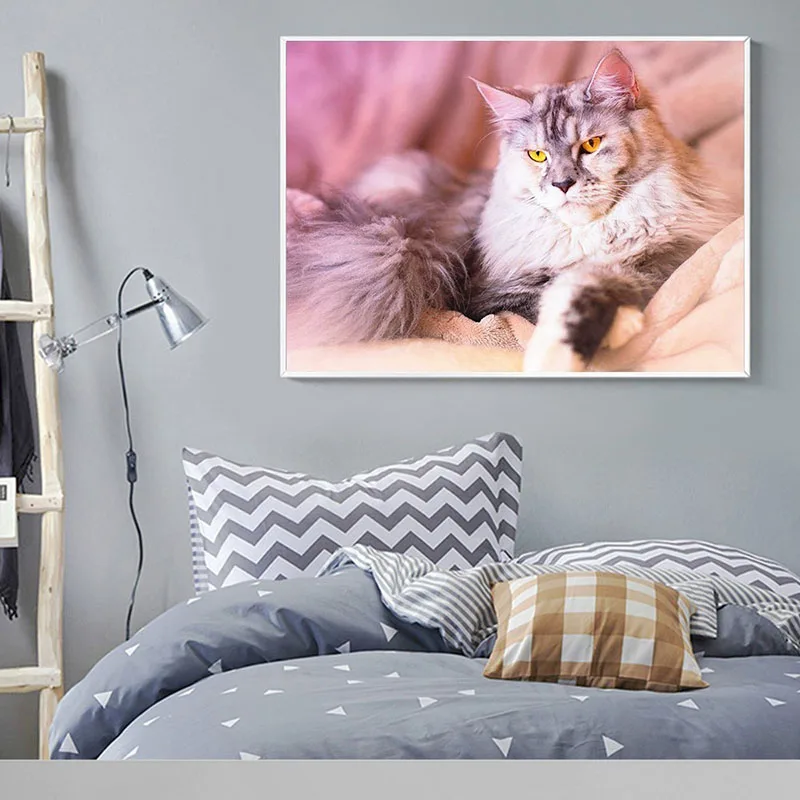 HUACAN-5D-Diamond-Painting-Animal-Cat-Full-Square-Embroidery-Sale-Picture-Rhinestone-Diamond-Mosaic-Home-Decor (1)