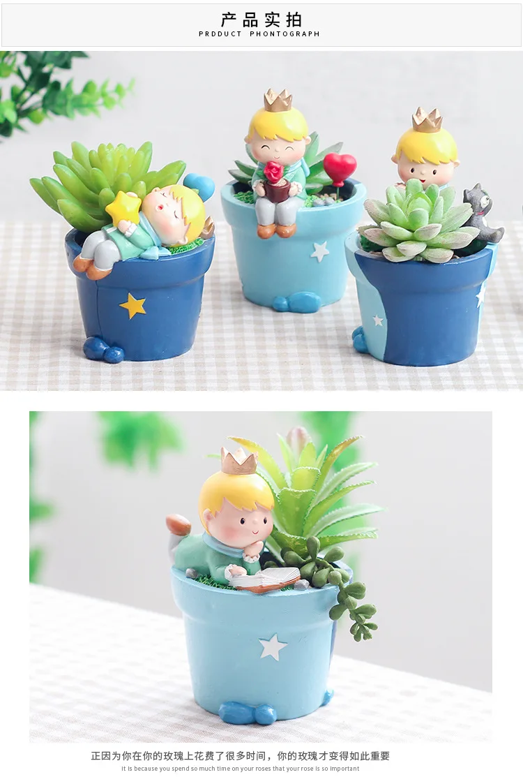 Creative Resin Succulent Plant Pots Mini Flower Pot Decorative Desktop Flowerpot Fairy Garden Home Garden Decoration (12)
