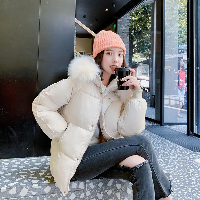 2019 Winter New Style Cotton-padded Clothes Online Celebrity Students Short down Jacket CHIC Women's College Style Thick Loose C
2019 Winter New Style Cotton-padded Clothes Online Celebrity Students Short down Jacket CHIC Women's College Style Thick Loose C