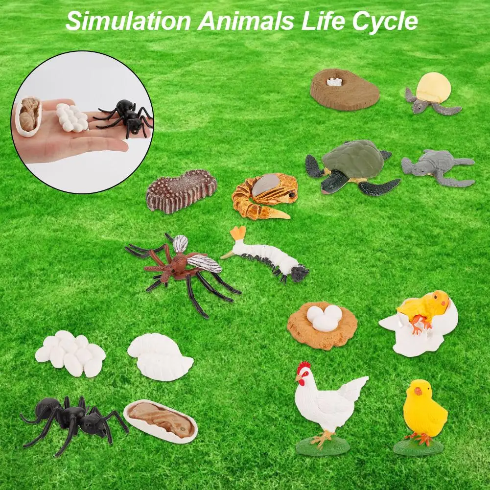 Baby Educational Model Simulation Animal Model Life Circle Toy Simulation Animal Insect Frog Mosquito Ant Turtle Growth Cycle
Baby Educational Model Simulation Animal Model Life Circle Toy Simulation Animal Insect Frog Mosquito Ant Turtle Growth Cycle