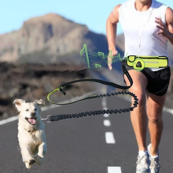 Hand Free Retractable Dog Leash For Golden Retriever Bull Terrier Husky Pug Mascotas Accesorios Flexi Martingale Laisse Chien
Hand Free Retractable Dog Leash For Golden Retriever Bull Terrier Husky Pug Mascotas Accesorios Flexi Martingale Laisse Chien