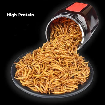 

25g/50g Freeze-dried Mealworm Ant Nest Ant Food Nutritious Protein Ant Farm Accessories Pet Anthill Workshop Ant House Supplies