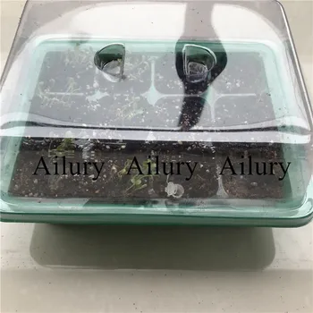 9-hole/12-hole transparent grid nursery box, plastic three-piece nursery box nursery tray, root system visible,garden supply
9-hole/12-hole transparent grid nursery box, plastic three-piece nursery box nursery tray, root system visible,garden supply