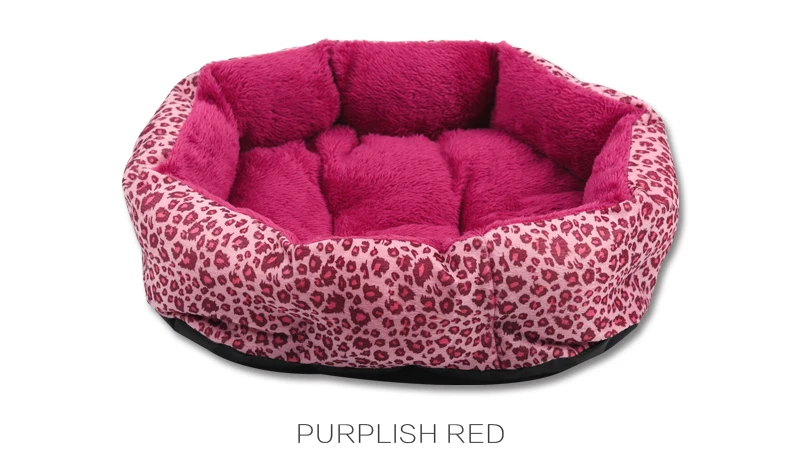 15 pet beds