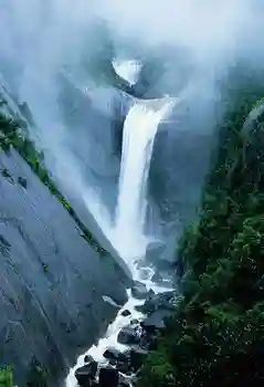 Natural waterfall backgrounds newborn photography vinyl scenery wallpaper photo backdrop in photo studio kits photophone lv-1511 
Natural waterfall backgrounds newborn photography vinyl scenery wallpaper photo backdrop in photo studio kits photophone lv-1511