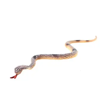 12pcs/set Simulation Reptiles Animal Snake Figures Model Toys Halloween Jokes Trick Kids Educational Collection Gift Y4UD 
12pcs/set Simulation Reptiles Animal Snake Figures Model Toys Halloween Jokes Trick Kids Educational Collection Gift Y4UD