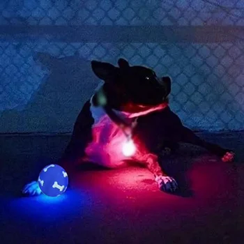 1Pcs Pet Dog Flashing Ball Toy Bouncing Pet Interactive Rubber Balls Dog Dancing Puzzle Ball Lighting Pet Dog Chewing Toy
1Pcs Pet Dog Flashing Ball Toy Bouncing Pet Interactive Rubber Balls Dog Dancing Puzzle Ball Lighting Pet Dog Chewing Toy