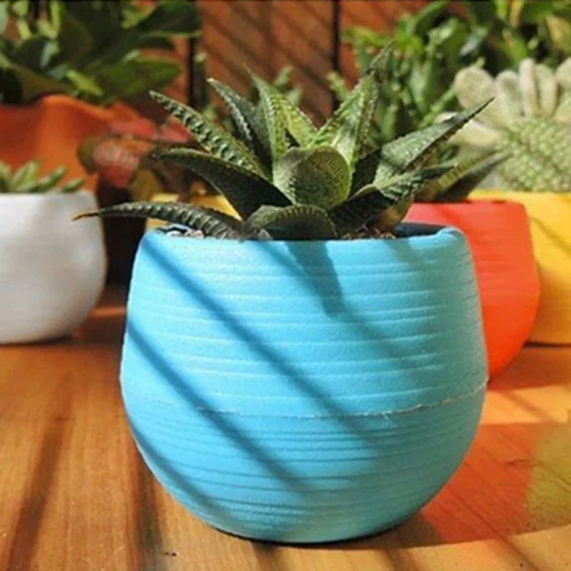 1 pcs/lot Plastic Plate Flower Pot Garden Supplies Decoration Products Flowerpot Nursery Pots Gardening Bowl Potted Plant Stand
1 pcs/lot Plastic Plate Flower Pot Garden Supplies Decoration Products Flowerpot Nursery Pots Gardening Bowl Potted Plant Stand