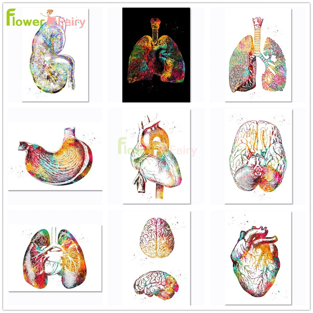 

Organ Brain Human Lung Heart Nordic Poster Hospital Clinic Wall Art Canvas Painting Wall Pictures For Living Room Unframed