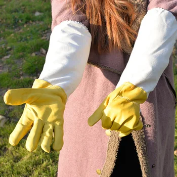 

1 Pair Farm Protective Beekeeping Gloves Men Women Beekeeper Prevent Bee Bite Long Sleeves a Apicultura Apicultor