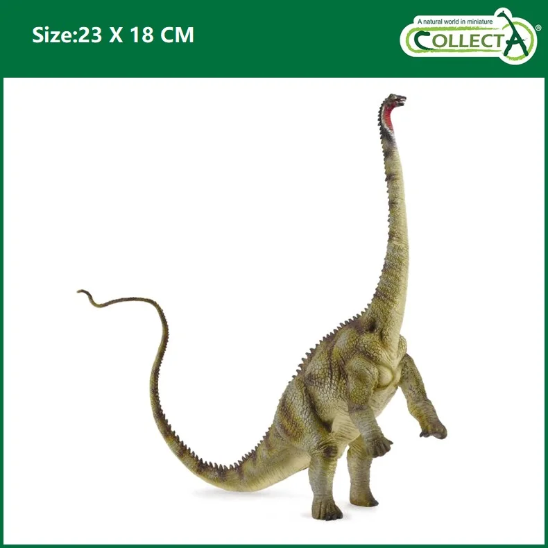 diplodocus collecta