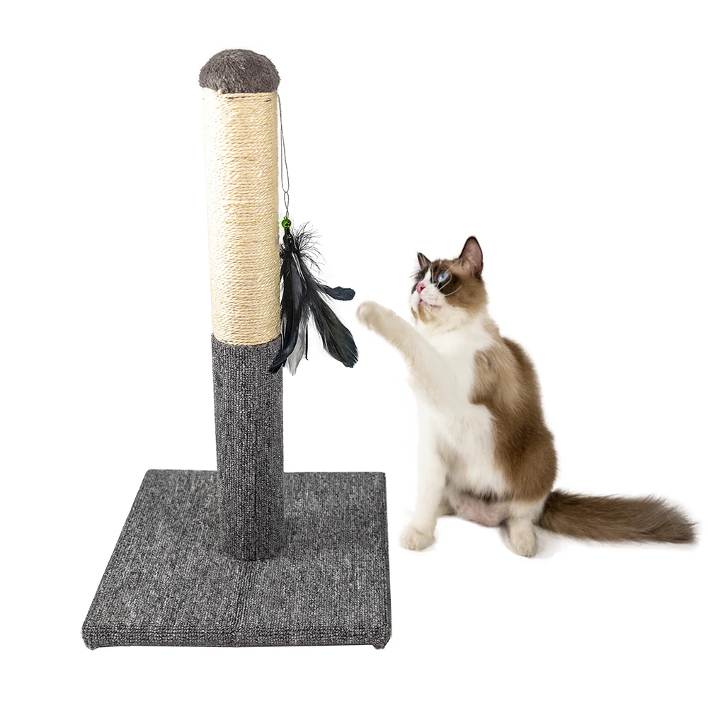 Cat scratching board Cat scratching post Cat climbing frame Claw sharpener Funny cat toy Pet toy Cat supplies
Cat scratching board Cat scratching post Cat climbing frame Claw sharpener Funny cat toy Pet toy Cat supplies