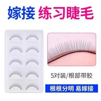 Novice Grafting Practice Eyelash Beginners Training School for False Eyelashes Beauty Eyelashes Practice Eyelash single lashes