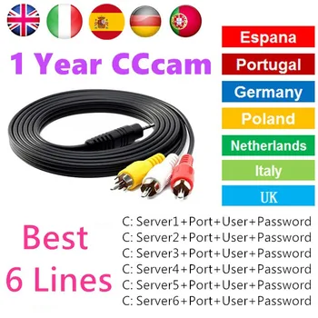 Stable Cccam Cline Spain for 1 year Server Portugal Germany Polsat Europe cline For DVB-S2 HD Satellite Receiver GTmedia V8 Nova
Stable Cccam Cline Spain for 1 year Server Portugal Germany Polsat Europe cline For DVB-S2 HD Satellite Receiver GTmedia V8 Nova