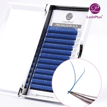 LASHPLUS YY premade fans eyelash extensions for salon individual eyelash extensions for wholesale price OEM 
LASHPLUS YY premade fans eyelash extensions for salon individual eyelash extensions for wholesale price OEM