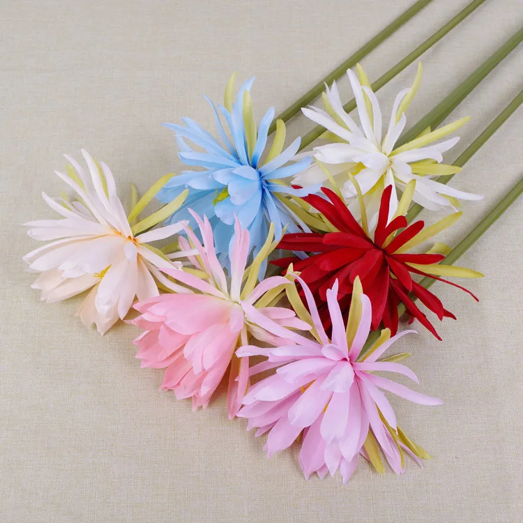 Currently Available Model Epiphyllum 6 Color Selectable Flower Head Diameter 26 Cm Imitation Flowers Flower Arrangement Floral W
Currently Available Model Epiphyllum 6 Color Selectable Flower Head Diameter 26 Cm Imitation Flowers Flower Arrangement Floral W