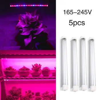 Purple Premium Durable LED Grow Light Plant Grow Light Plant Grow Lamp Greenhouse Growth Indoor Bloom Vegetable Garden Flower
Purple Premium Durable LED Grow Light Plant Grow Light Plant Grow Lamp Greenhouse Growth Indoor Bloom Vegetable Garden Flower