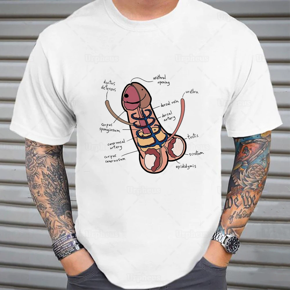 Фото Забавная футболка Анатомия пениса шуточная Новая развивающая рубашка в стиле