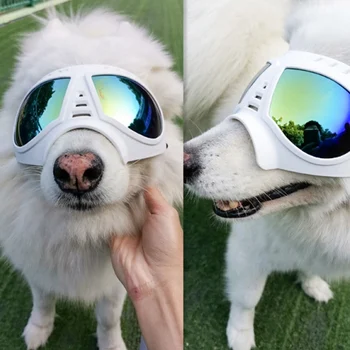 Pet Fashion Pet Dogs Cats Transparent Plastic To UV Hunting Training Glasses Sunglasses For Resistant Camping
Pet Fashion Pet Dogs Cats Transparent Plastic To UV Hunting Training Glasses Sunglasses For Resistant Camping