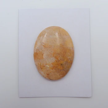 Natural Indonesian Fossil Coral fashion Pendant Cabochon,40x30x5mm,10.9g
Natural Indonesian Fossil Coral fashion Pendant Cabochon,40x30x5mm,10.9g