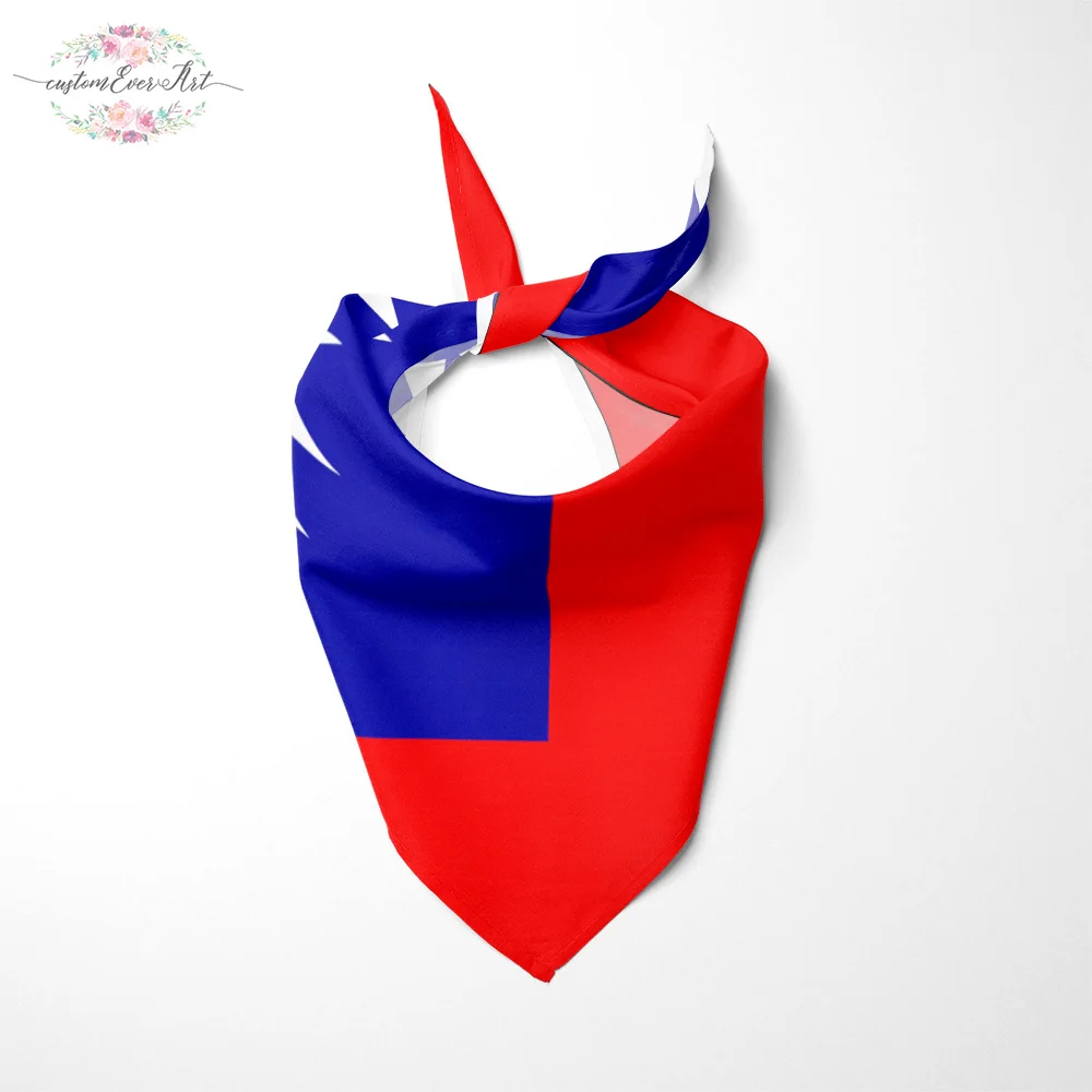 The Taiwan flag Dog Bandana Cat Bandana Pet Bandana Pet Accessory personalized name custom pet present scarf
The Taiwan flag Dog Bandana Cat Bandana Pet Bandana Pet Accessory personalized name custom pet present scarf