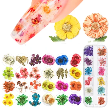 Dried Flowers Leaf Nail Decoration Natural Floral Sticker 3D Dry Beauty Nail Art Decals Jewelry UV Gel Polish Manicure Nail Art 
Dried Flowers Leaf Nail Decoration Natural Floral Sticker 3D Dry Beauty Nail Art Decals Jewelry UV Gel Polish Manicure Nail Art