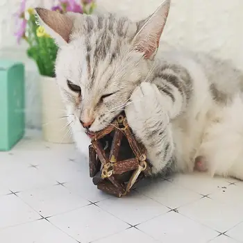 1PCS Teaser Cat Snack Toy Natural Silvervine Ball Catnip Molar Branch Cleaning Teeth Sticks
1PCS Teaser Cat Snack Toy Natural Silvervine Ball Catnip Molar Branch Cleaning Teeth Sticks