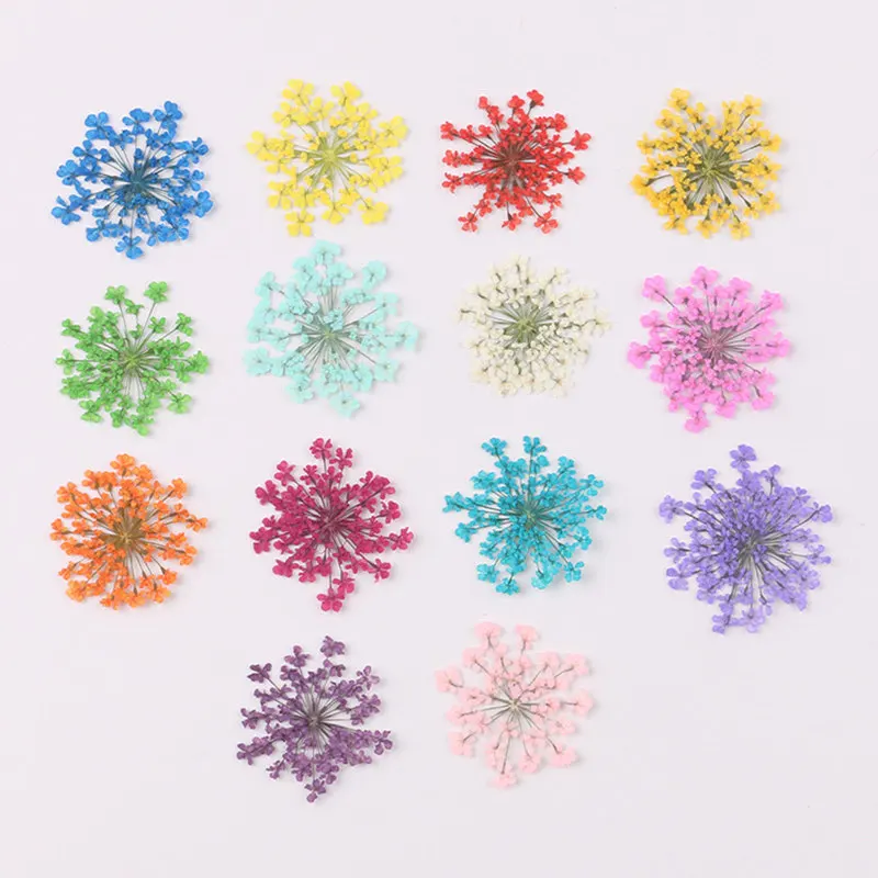 12Pcs Dried Flowers Dry Plants Decoration Pressed Flower Epoxy Resin Mold Filling For DIY Jewelry Making Crafts Accessories
12Pcs Dried Flowers Dry Plants Decoration Pressed Flower Epoxy Resin Mold Filling For DIY Jewelry Making Crafts Accessories