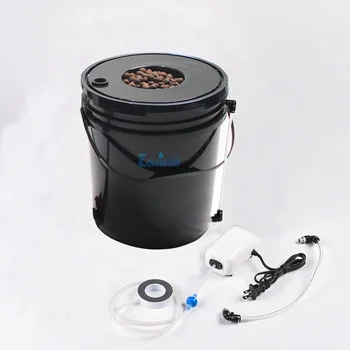 Single Site - DWC clone buccle Black Bucket Deep Water Culture Hydroponic System. Free shipping
Single Site - DWC clone buccle Black Bucket Deep Water Culture Hydroponic System. Free shipping