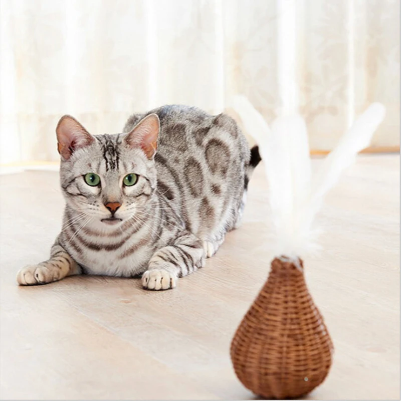 cat stick toy cat stick feather cat stick fairy pet feather cat stick manufacturer
cat stick toy cat stick feather cat stick fairy pet feather cat stick manufacturer