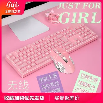 Technology 616 Rechargeable Wireless Mouse Set Pink Machinery Handfeel Wireless Keyboard and Mouse Set
Technology 616 Rechargeable Wireless Mouse Set Pink Machinery Handfeel Wireless Keyboard and Mouse Set