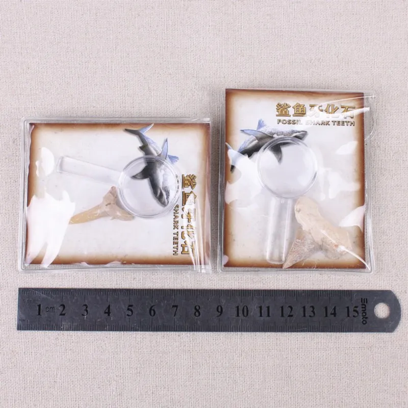 XOC3070 (8)