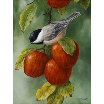 Full Square Round Drill 5D DIY Diamond Painting Sparrow and apple Patterns Embroidery Cross Stitch Mosaic Home Decor Gift
Full Square Round Drill 5D DIY Diamond Painting Sparrow and apple Patterns Embroidery Cross Stitch Mosaic Home Decor Gift