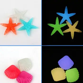 100pcs Luminous Stones Shells Star Glow in the Dark Fish Tank Landscape Ornament
100pcs Luminous Stones Shells Star Glow in the Dark Fish Tank Landscape Ornament