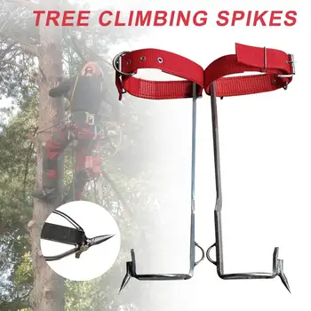 Tree Climbing Spikes Stainless Steel Claw Hard Rust Resistant Adjustable Gear Climbing Tool For Hunting Fruit Picking
Tree Climbing Spikes Stainless Steel Claw Hard Rust Resistant Adjustable Gear Climbing Tool For Hunting Fruit Picking