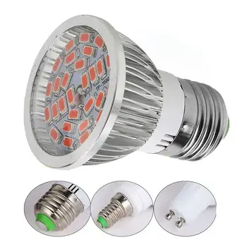 28LED Grow Light E27/E14/GU10 Light Bulb for Plant Hydroponic Full Spectrum
28LED Grow Light E27/E14/GU10 Light Bulb for Plant Hydroponic Full Spectrum