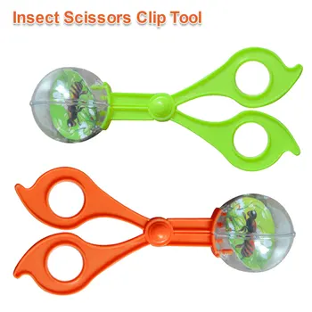 Plant Insect Biology Study Tool 14cm Plastic Scissor Clamp Tweezers Cute Nature Exploration Kit for Kid Children Toy Handy Tool
Plant Insect Biology Study Tool 14cm Plastic Scissor Clamp Tweezers Cute Nature Exploration Kit for Kid Children Toy Handy Tool