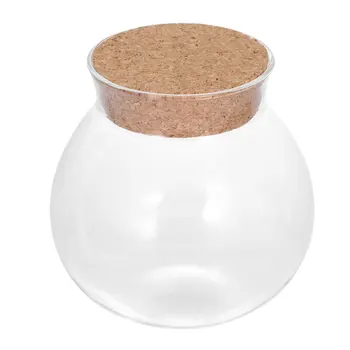 New Arrival Cute Design Tea Coffee Sugar Glass Canisters Flower Plant Vase Pot Home Decoration Party Transparent Beauty 
New Arrival Cute Design Tea Coffee Sugar Glass Canisters Flower Plant Vase Pot Home Decoration Party Transparent Beauty