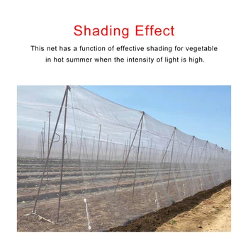Greenhouse Protective Net Garden Crop Plant Protection Net Netting Bird Pest Insect Animal Vegetable Care Big Mesh
Greenhouse Protective Net Garden Crop Plant Protection Net Netting Bird Pest Insect Animal Vegetable Care Big Mesh