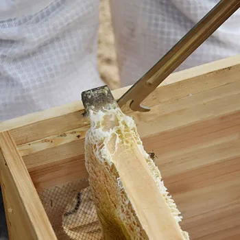 Multifunction Stainless Steel Bee Tools Thumb Type Bee Honey Knife Bee Hive Scraper Beekeeping Bee Scraper Cut
Multifunction Stainless Steel Bee Tools Thumb Type Bee Honey Knife Bee Hive Scraper Beekeeping Bee Scraper Cut