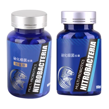 50Pcs Nitrifying Bacteria For Fresh Water And Marine Water Fish Tank Water Fish Tank Aquariums Cleaning Tool
50Pcs Nitrifying Bacteria For Fresh Water And Marine Water Fish Tank Water Fish Tank Aquariums Cleaning Tool