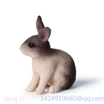 Simulation Mini Rabbit Cute Dutch Exquisite Angora Charmingly Naive Rex Rabbit MiniRex PVC Action Collectible Model Toy OPP G101
Simulation Mini Rabbit Cute Dutch Exquisite Angora Charmingly Naive Rex Rabbit MiniRex PVC Action Collectible Model Toy OPP G101