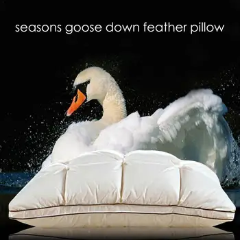 4D Goose Down Pillow Core Washable Four Seasons Goose Down Feather Pillow Exquisite Sandwich Pleat Design Double Quilt Pillow Ho
4D Goose Down Pillow Core Washable Four Seasons Goose Down Feather Pillow Exquisite Sandwich Pleat Design Double Quilt Pillow Ho