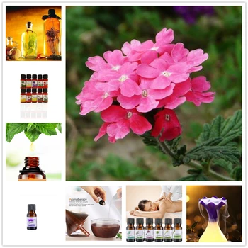 10ml Water-soluble Magnolia Flower Essential Oil for Aromatherapy Diffusers Help Relieve Stress Skin Care Improve Sleep TSLM5
10ml Water-soluble Magnolia Flower Essential Oil for Aromatherapy Diffusers Help Relieve Stress Skin Care Improve Sleep TSLM5