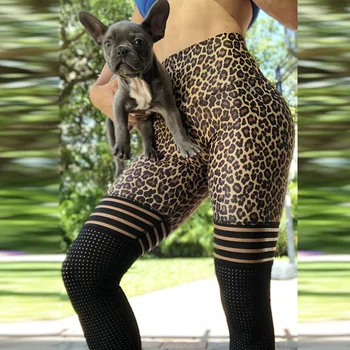 Push Up Workout Legging High Quality Women Leopard Print Leggings No Transparent High Knee Stripes Patchwork Elastic Pants
Push Up Workout Legging High Quality Women Leopard Print Leggings No Transparent High Knee Stripes Patchwork Elastic Pants